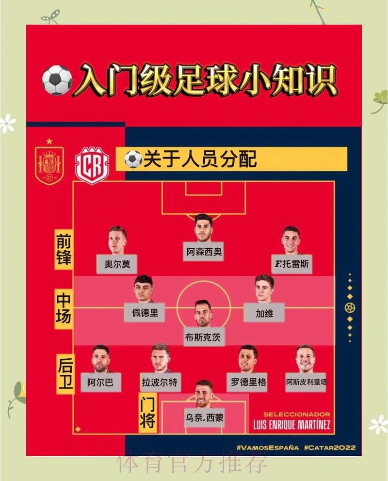 解析世界杯下注策略：从入门到精通